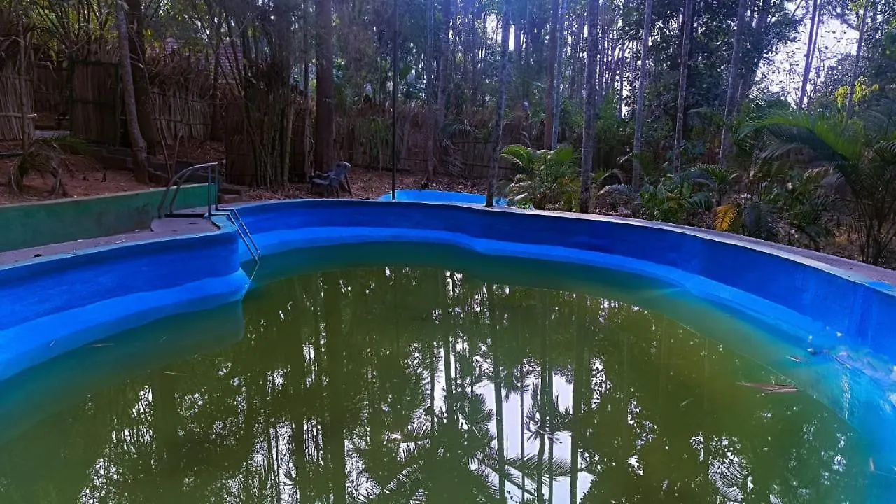 Lejlighed Ayurguru Ayurvedic Kalari Resort Sultan Bathery