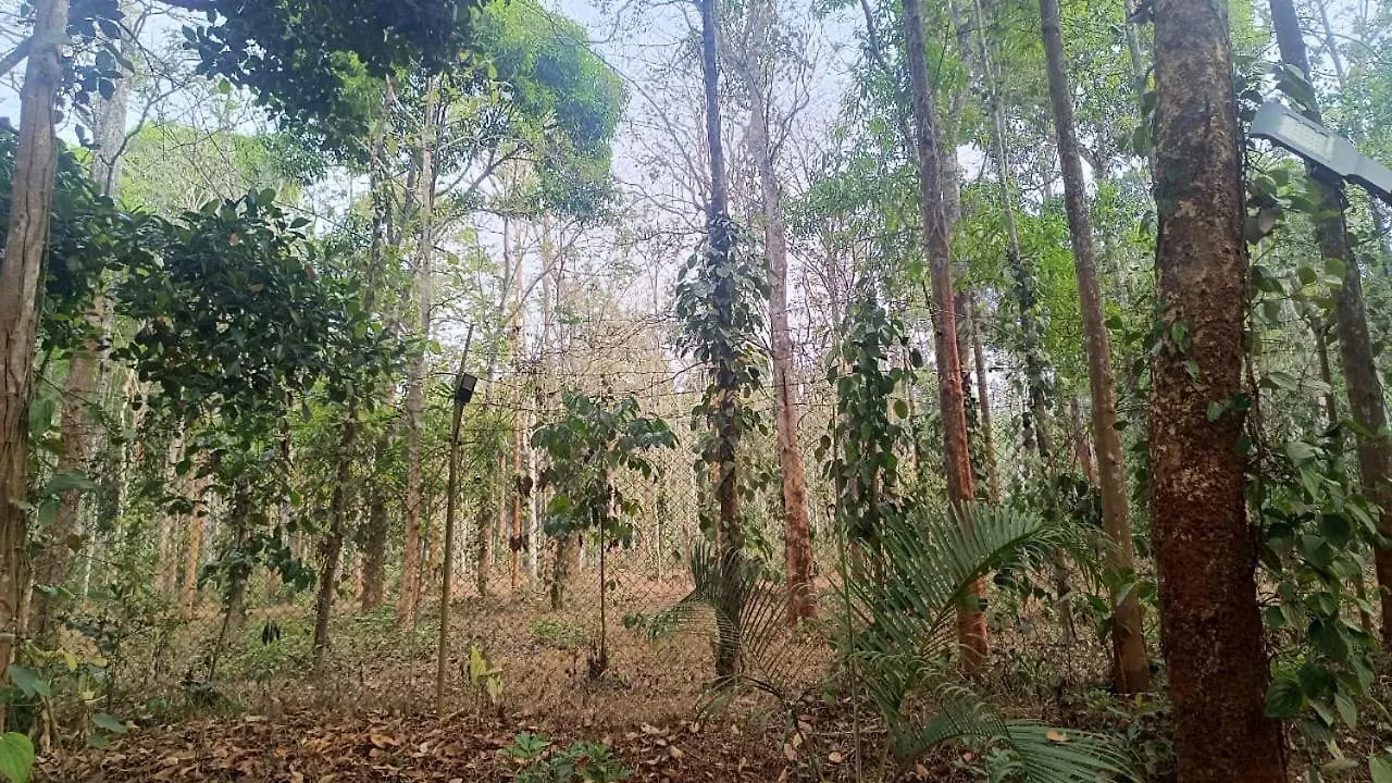 Lejlighed Ayurguru Ayurvedic Kalari Resort Sultan Bathery Indien